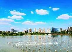 V,?棨5@粶拥?x詁2M=CA的简单介绍